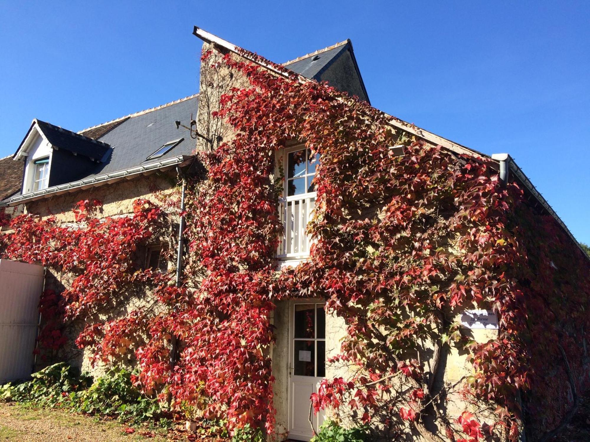Chambres D'Hotes La Ferme Du Grand Launay Semblancay Екстер'єр фото