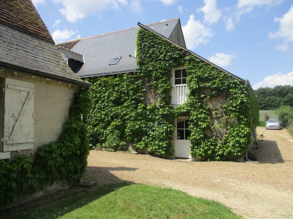 Chambres D'Hotes La Ferme Du Grand Launay Semblancay Екстер'єр фото